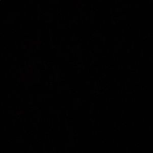 Meet your Posher, Faith